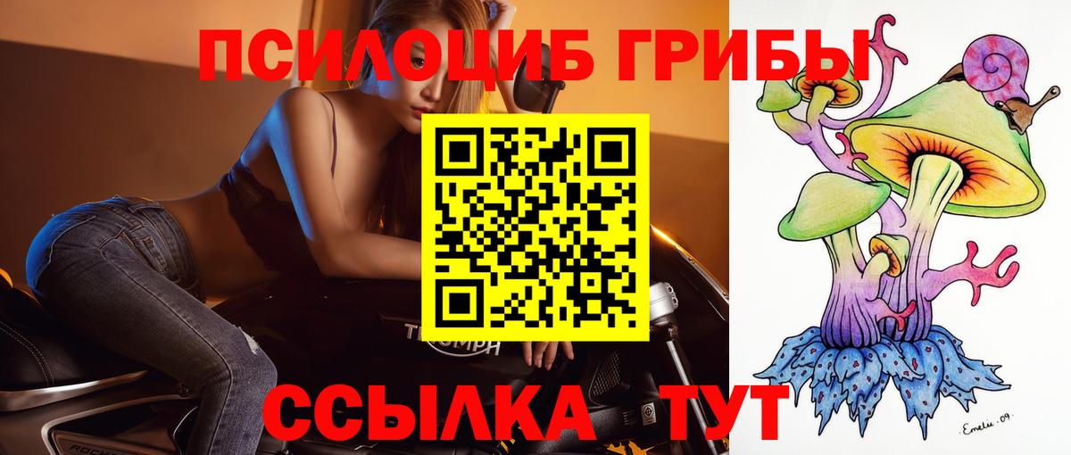 Лениногорск  Псилоцибиновые грибы Psilocybe  Вход с VPN 
